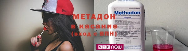 прущие грибы Балабаново