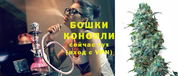 Альфа ПВП Аркадак