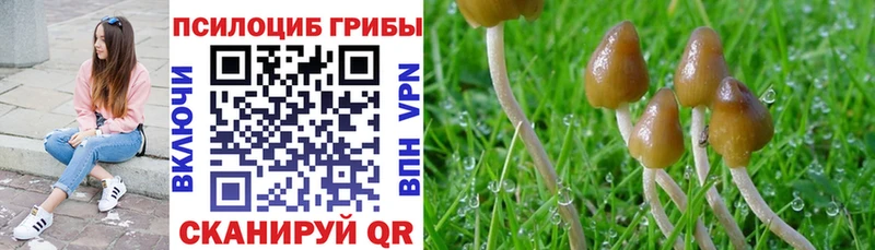 гидра зеркало  купить   маркетплейс Telegram  Галлюциногенные грибы прущие грибы  Строитель 